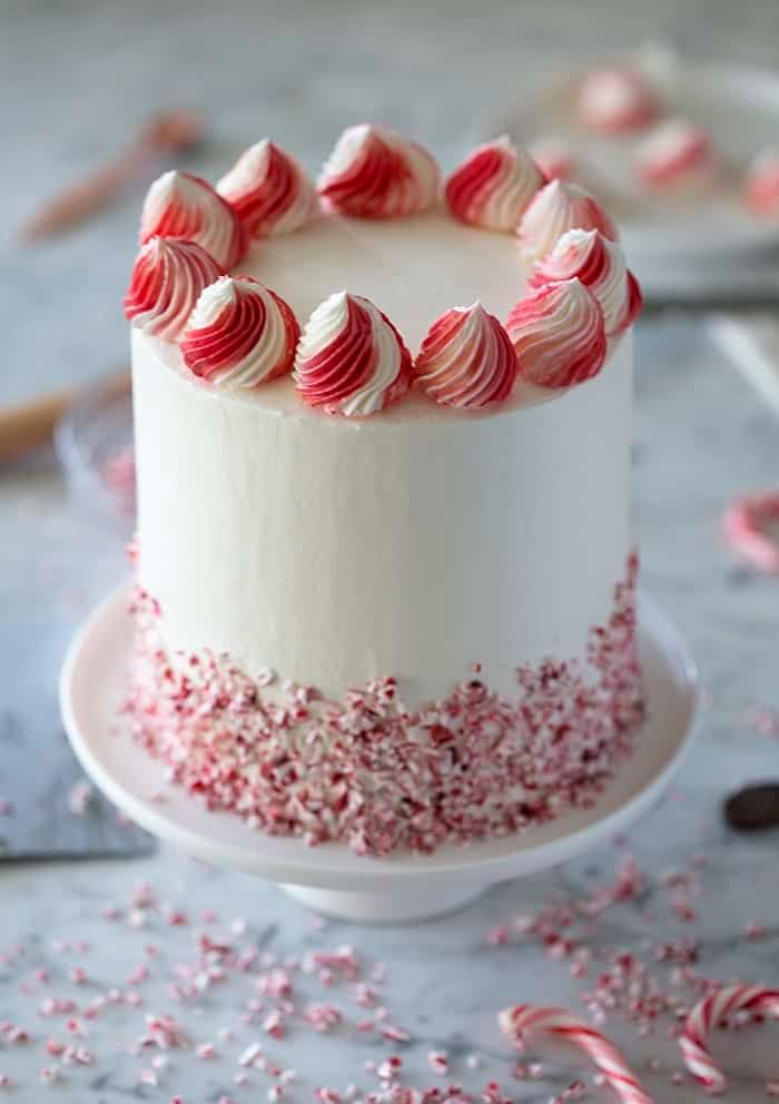 A photo showing a chocolate peppermint cake on a white marble table.