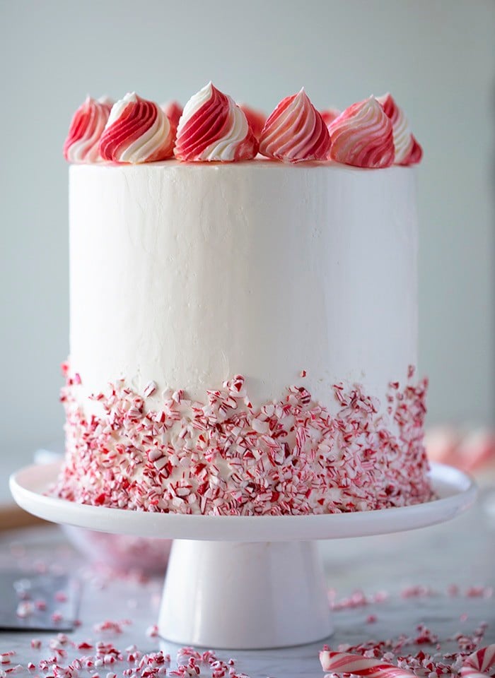 A photo showing the profile of a peppermint cake with a crushed candy cane skirt.