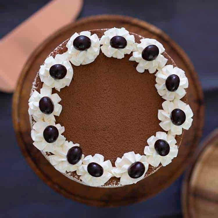 The top of a tiramisu cake dusted in cocoa powder.