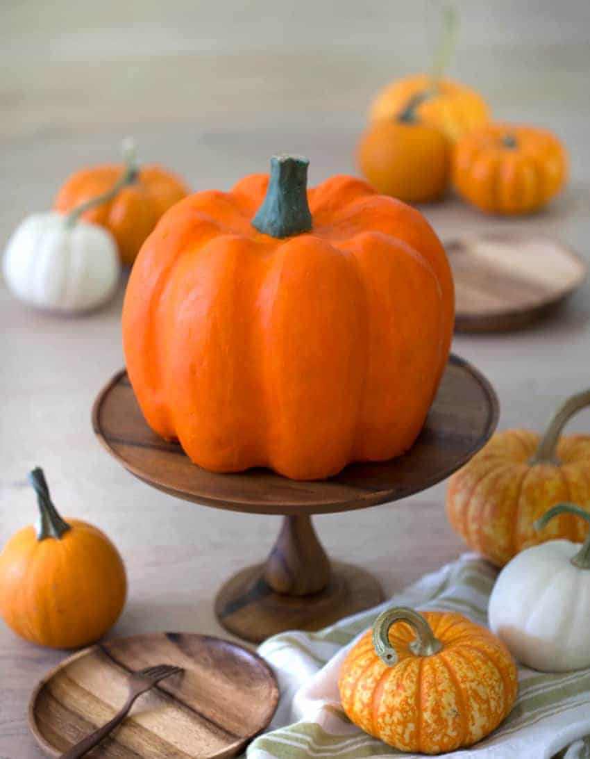 A photo showing a giant Pumpkin Cake that looks just like a real pumpkin