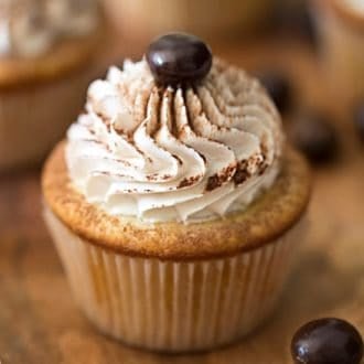 A close up photo showing a tiramisu cupcake on a wooden background