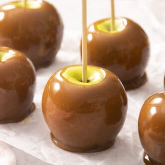 Caramel apples on crinkled parchment paper.