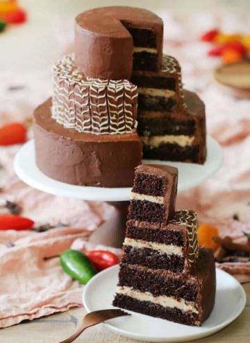 A photo of a Mexican Hot Chocolate Cake.