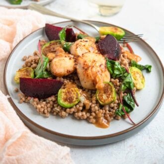 Sauteed scallops on a modern plate with cous cous