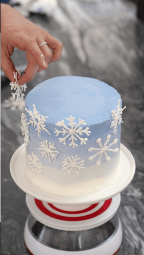 Snowflake Cake