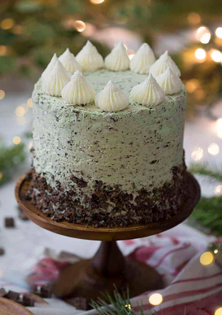 A green mint chip cake with white dollops and a chocolate skirt on a wooden cake stand