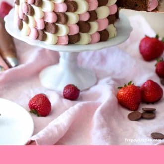 Neapolitan Cake