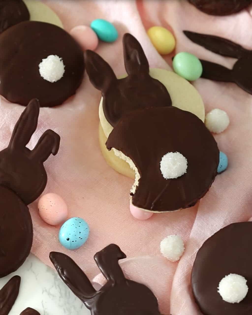 A photo of a chocolate coated bunny cookie with a bite taken out of it.