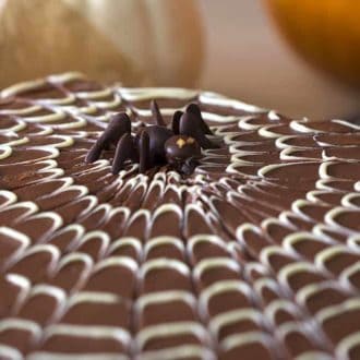 A chocolate spider sits on a chocolate spider web covered sheet cake