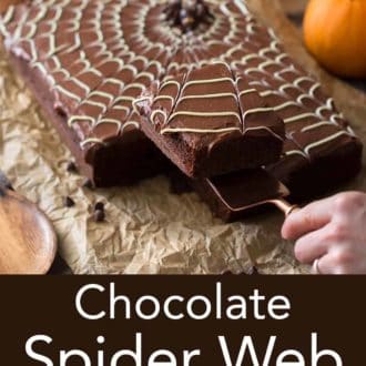 chocolate sheet cake with a white chocolate spider web decoration on top