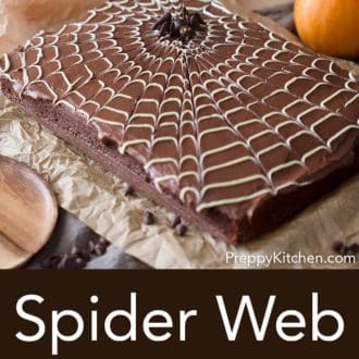 chocolate sheet cake with a white chocolate spider web decoration on top