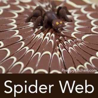 chocolate sheet cake with a white chocolate spider web decoration on top