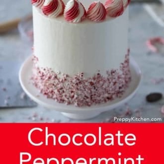A piece of Chocolate Peppermint Cake on a white marble table