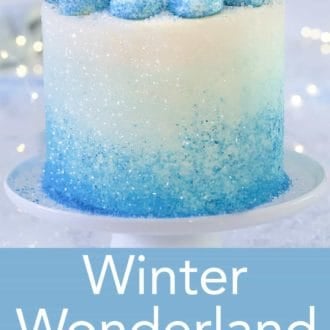 winter wonderland 3 layered cake on a stand