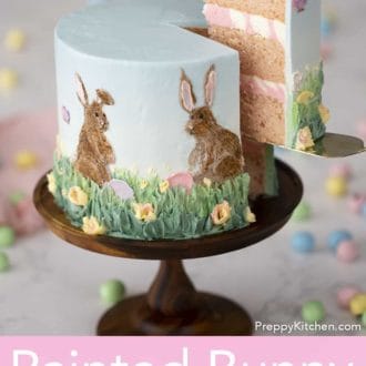 hand painted buttercream easter bunny cake