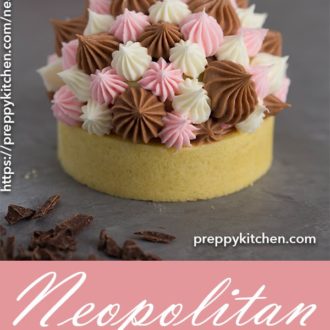 Pinterest graphic of a neapolitan tart
