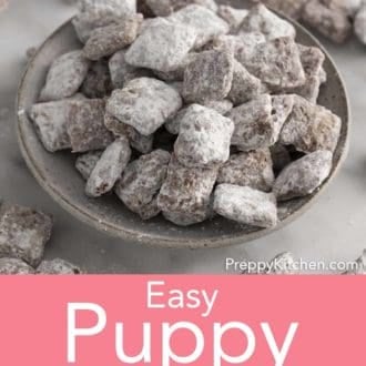 Pinterest graphic of puppy chow piled in a gray bowl.