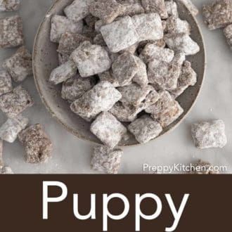 Pinterest graphic of an overhead shot of puppy chow.