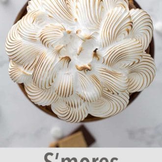 Pinterest graphic of an overhead view of a s'mores cake.