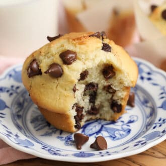 A chocolate chip muffin on a plate with a bite taken out.