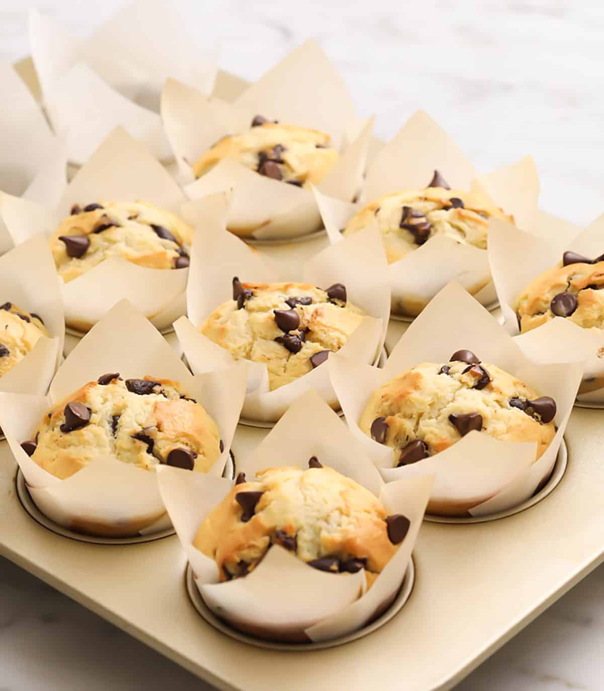 Freshly baked chocolate chip muffins in a gold muffin tin.