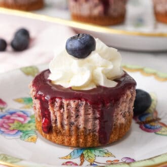 A blueberry mini cheesecake topped with whipped cream and a blueberry on a plate.