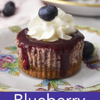 A closeupp photo of a mini blueberry cheesecake.