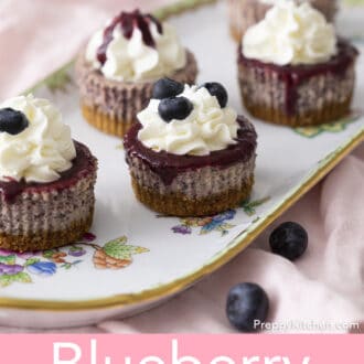 A group of Mini Blueberry Cheesecakes on a porcelain serving tray.