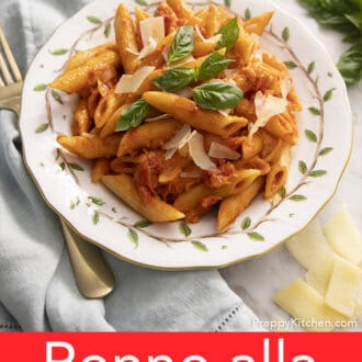 Penne alla vodka on a porcelain plate.