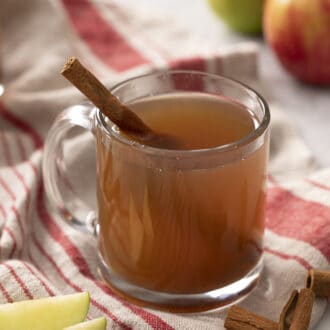 Pinterest graphic of a glass mug of apple cider with a stick of cinnamon.