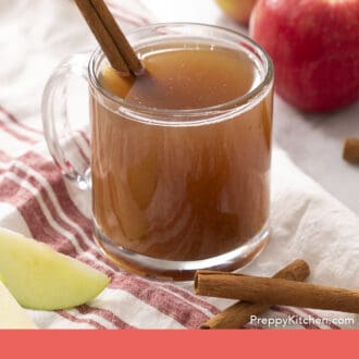 Pinterest graphic of a glass mug of apple cider garnished with a cinnamon stick.