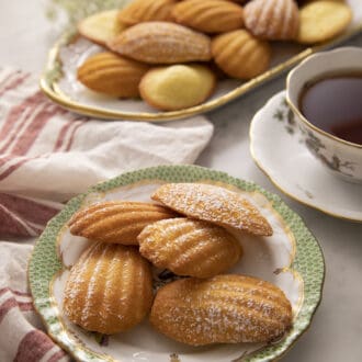 Pinterest graphic of five madeleines on a porcelain plate.