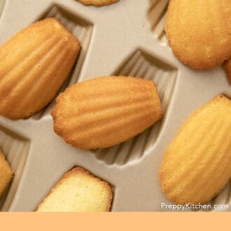 Pinterest graphic of freshly baked Madeleines in their baking tin.