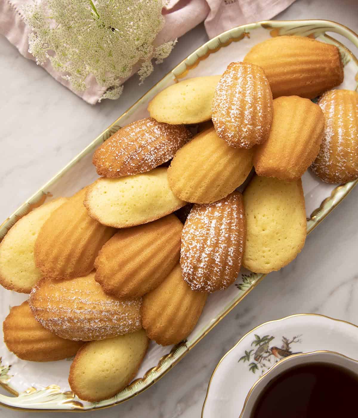 Madeleines dusted with powdered sugar on a tray.