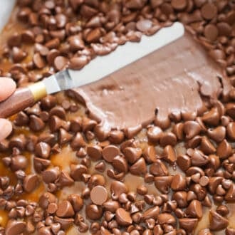 chocolate chips melting over toffee in a square baking pan