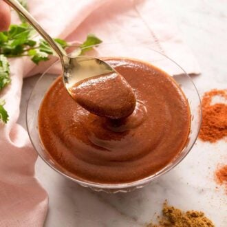 A spoonful of enchilada sauce lifted from the bowl with spices and fresh cilantro on the side.