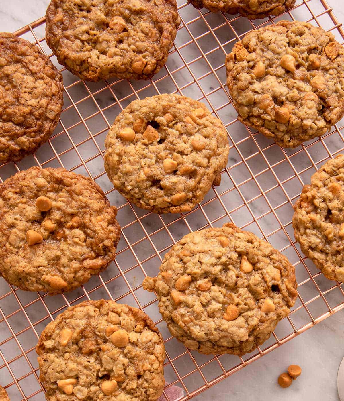 An overhead shot of oatmeal scotchies on a cooling rack.