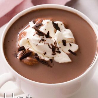 A pinterest graphic of a mug of hot chocolate topped with whipped cream and shaved chocolate.