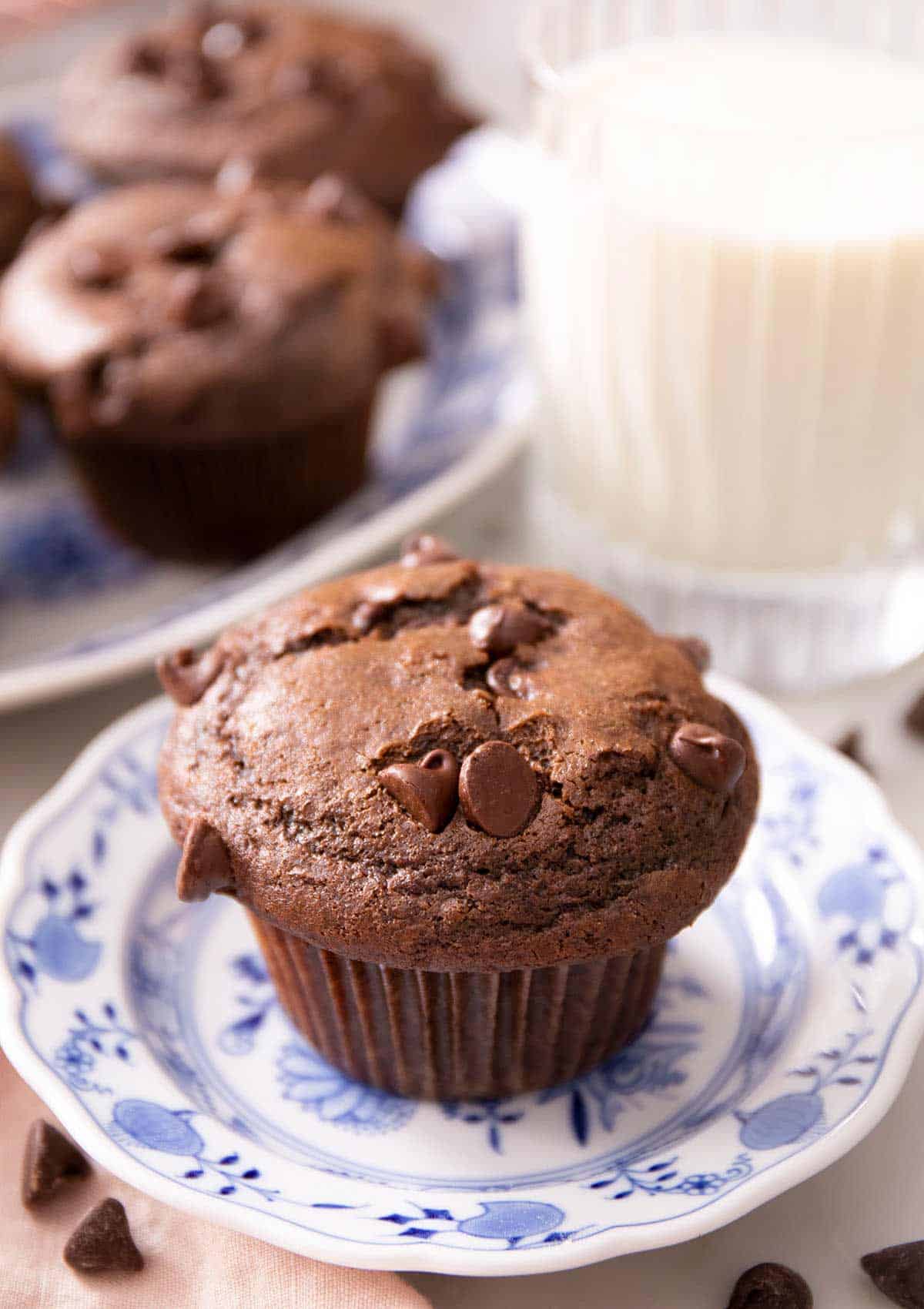 A close up of a chocolate muffin on a blue plate