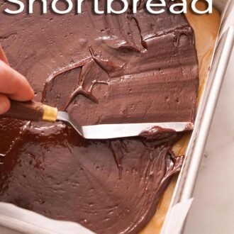 A pinterest graphic of Millionaire's shortbread