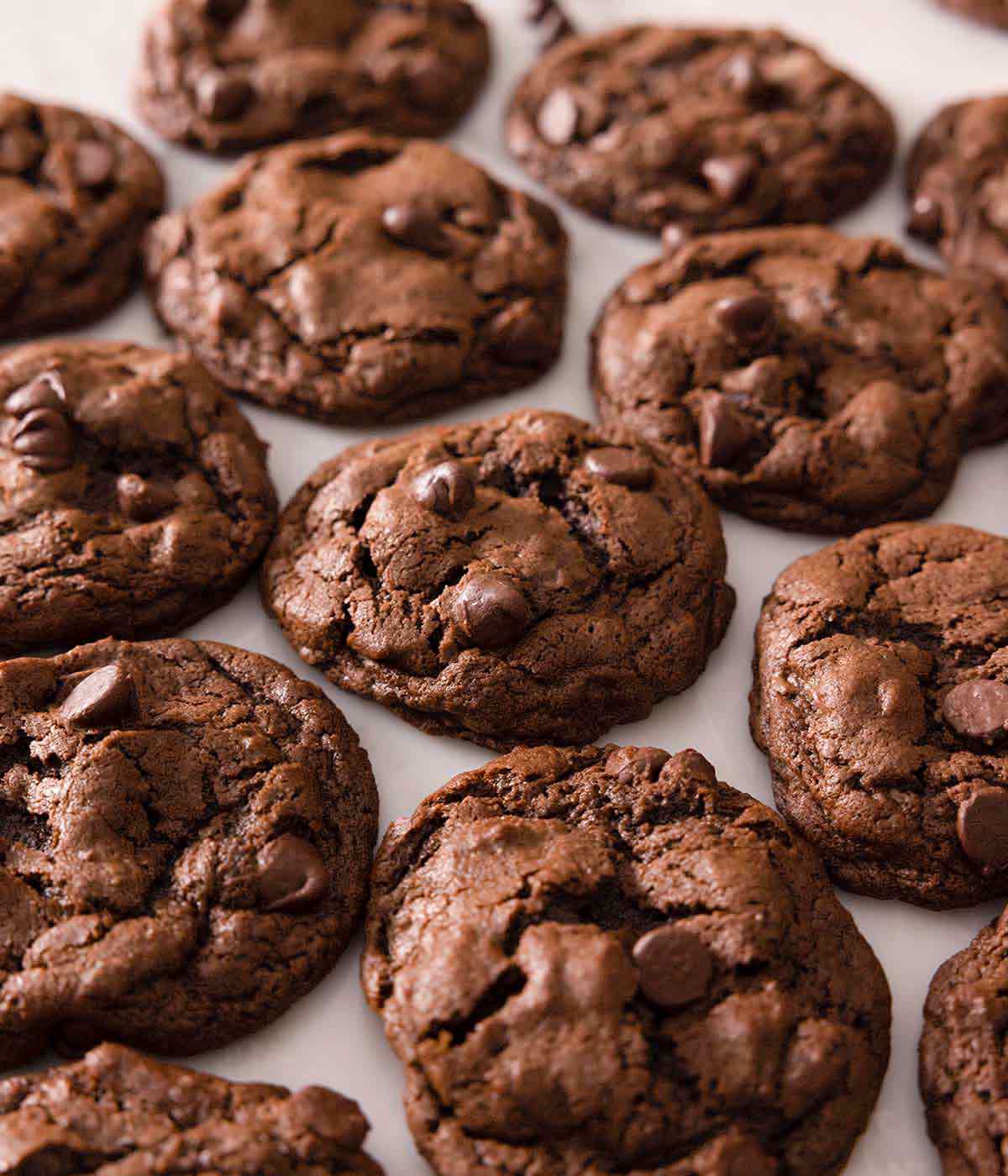 Multiple double chocolate chip cookies in a single layer on a counter.