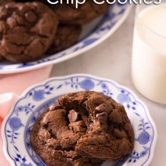 Pinterest graphic of a platter of cookies with a plate with two cookies, one cookie with a bite taken out of it in the foreground.