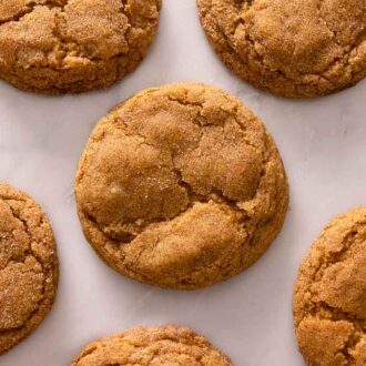 Multiple pumpkin snickerdoodles laid out in a single layer on a marble counter.
