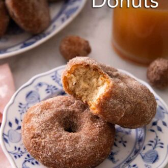 Pinterest graphic of two apple cider donuts, one with a bite taken out of it, on a plate.