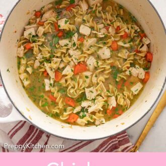 Pinterest graphic of an overhead view of a pot of chicken noodle soup.