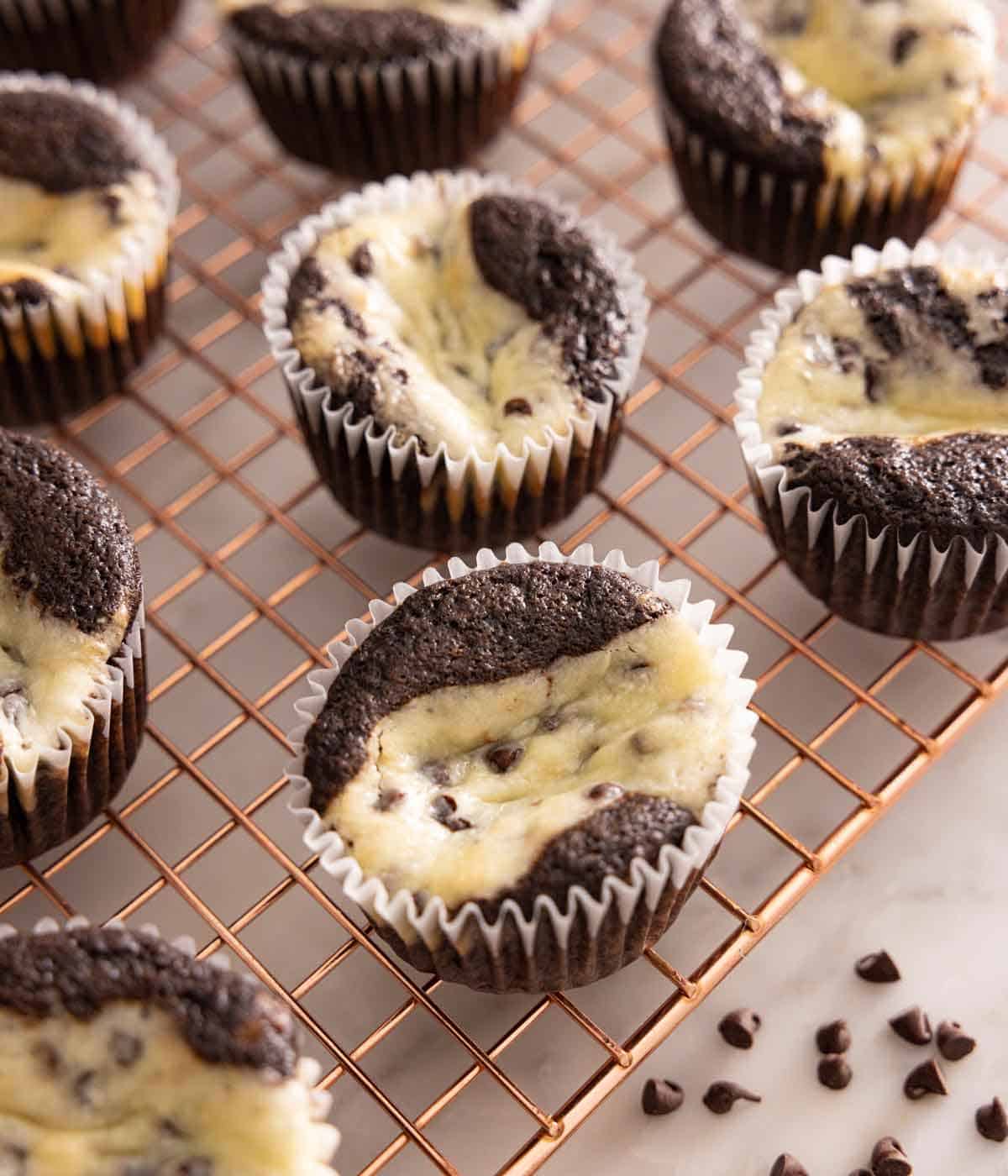 A cooling wire rack with multiple black bottom cupcakes.