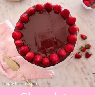 Pinterest graphic of an overhead view of a chocolate strawberry cake with fresh strawberries on top.
