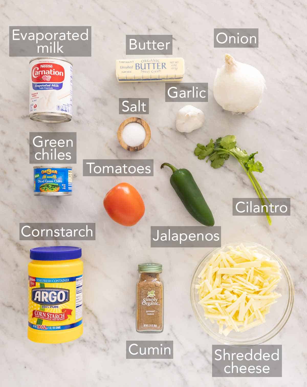 Ingredients needed to make queso dip.