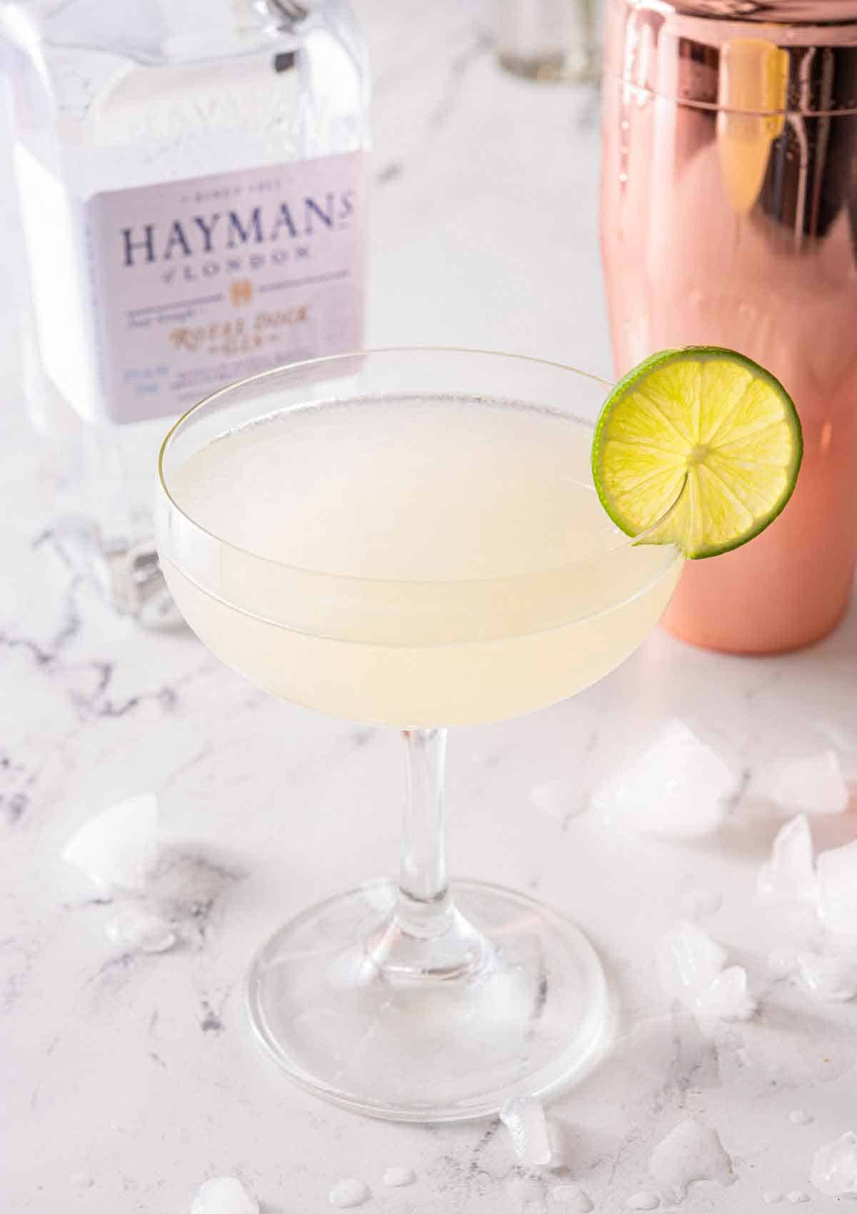 A gimlet cocktail with a lime wheel on the rim of the glass. Gin and cocktail shaker in the background.