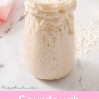 Pinterest graphic of a jar of bubbly overflowing sourdough starter.